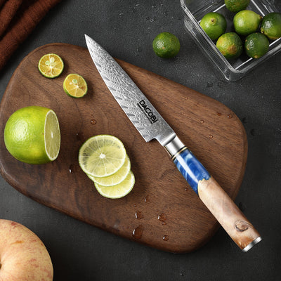 Кухненски Нож C5, 11.8, Дамаска Стомана